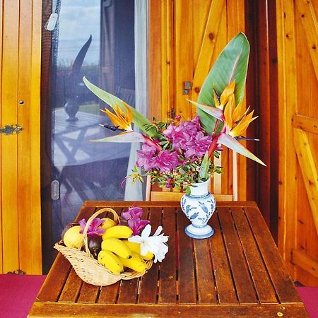 Holiday Homes Quinta Dos Curubas, Vila Franca Do Campo, Sao Miguel, Azores Exteriér fotografie