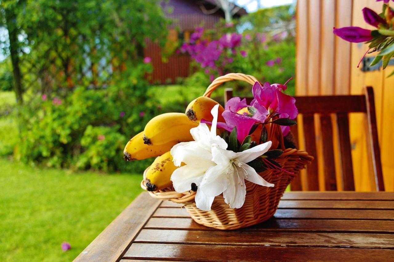 Holiday Homes Quinta Dos Curubas, Vila Franca Do Campo, Sao Miguel, Azores Exteriér fotografie