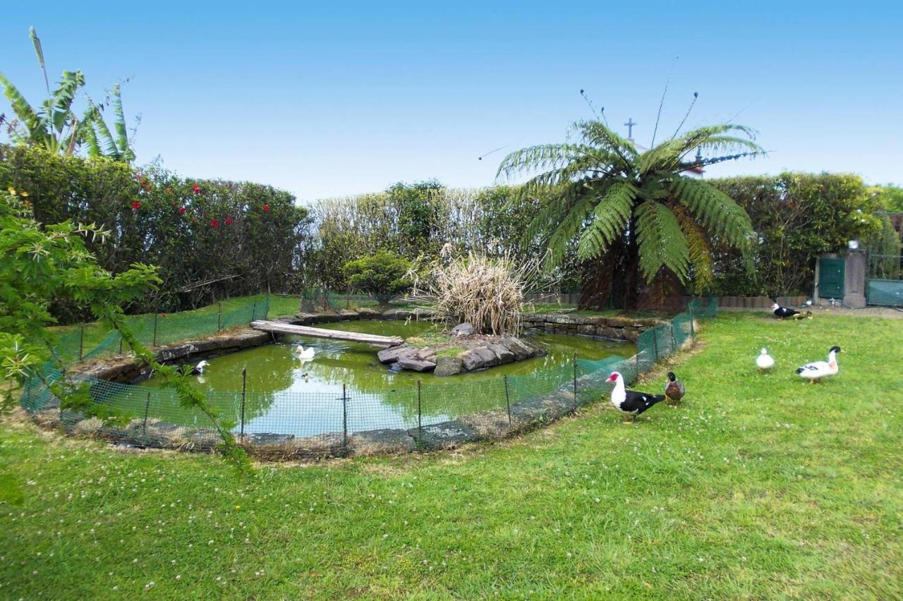 Holiday Homes Quinta Dos Curubas, Vila Franca Do Campo, Sao Miguel, Azores Exteriér fotografie