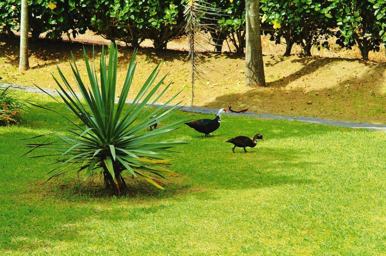Holiday Homes Quinta Dos Curubas, Vila Franca Do Campo, Sao Miguel, Azores Exteriér fotografie