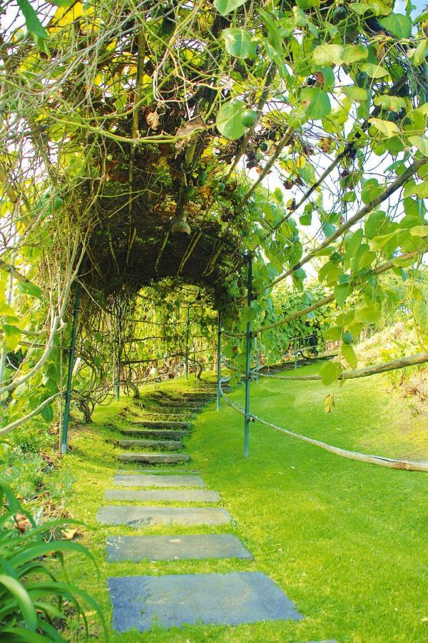 Holiday Homes Quinta Dos Curubas, Vila Franca Do Campo, Sao Miguel, Azores Exteriér fotografie